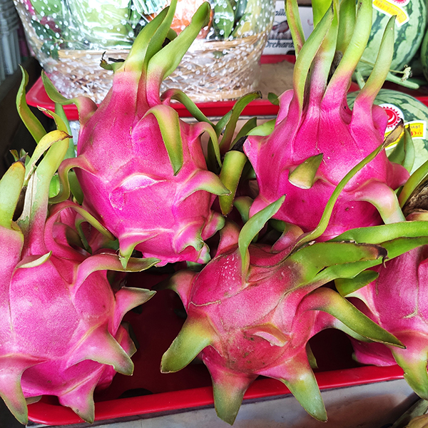 Thanh long (1 trái)